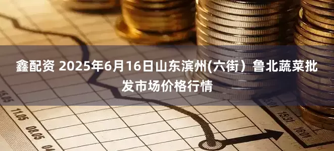 鑫配资 2025年6月16日山东滨州(六街）鲁北蔬菜批发市场价格行情