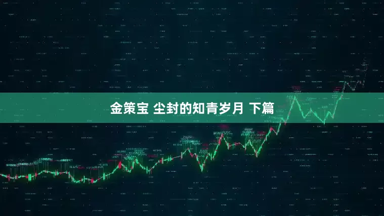 金策宝 尘封的知青岁月 下篇