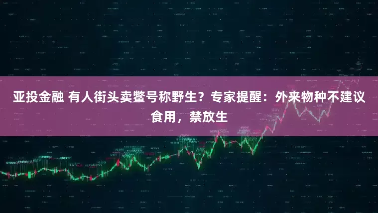 亚投金融 有人街头卖鳖号称野生？专家提醒：外来物种不建议食用，禁放生