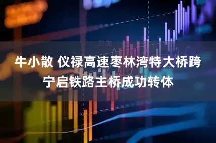 牛小散 仪禄高速枣林湾特大桥跨宁启铁路主桥成功转体