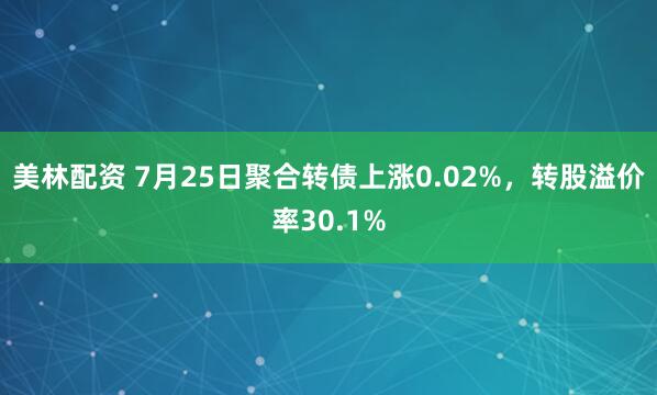 美林配资 7月25日聚合转债上涨0.02%，转股溢价率30.1%
