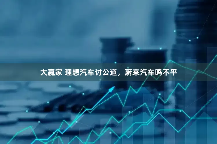 大赢家 理想汽车讨公道，蔚来汽车鸣不平
